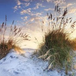 White Sand Dunes (Square)