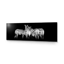 Zebra Cheeks, Black And White (long) -WALL ART DESGIN SALE zebra cheeks black and white long acrylic glass no border no frame 90x30cm 968885