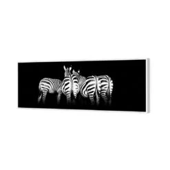 Zebra Cheeks, Black And White (long) -WALL ART DESGIN SALE zebra cheeks black and white long canvas white floating frame 60x20cm 212953