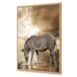 Zebra In Clouds -WALL ART DESGIN SALE zebra in clouds acrylic glass no border oak frame 45x30cm 207775