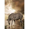 Zebra In Clouds 2 Zebra In Clouds -WALL ART DESGIN SALE zebra in clouds canvas stretched canvas 45x30cm 764866