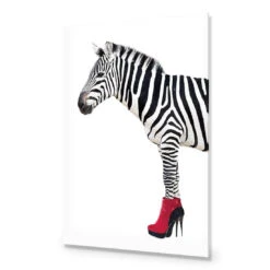 Zebra In Red Boots -WALL ART DESGIN SALE zebra in red boots acrylic glass no border no frame 45x30cm 164684