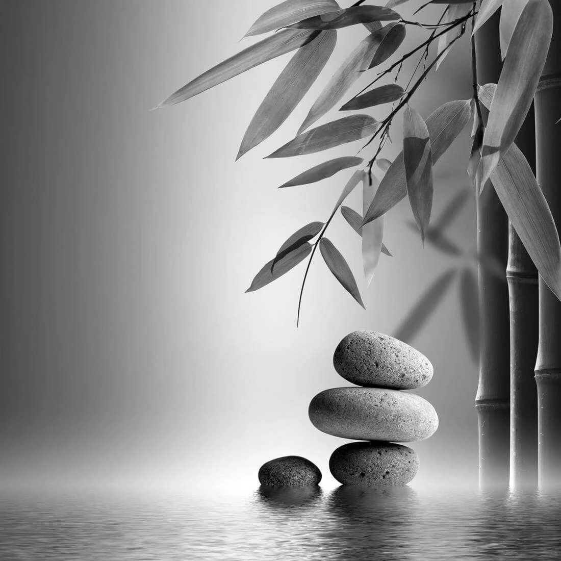 Zen Stones, Black and White (Square) Zen Stones, Black And White (Square) -WALL ART DESGIN SALE zen stones black and white square canvas stretched canvas 37x37cm 698423
